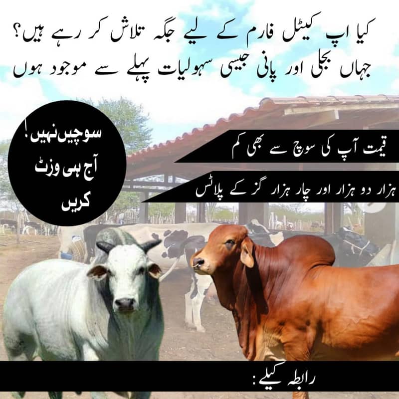 Family farm house

                                                            alt=