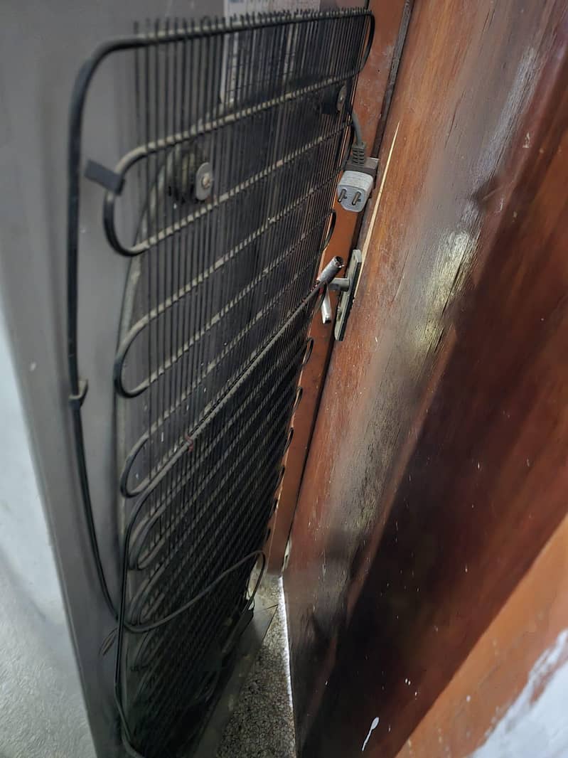 singer frig

                                                            alt=