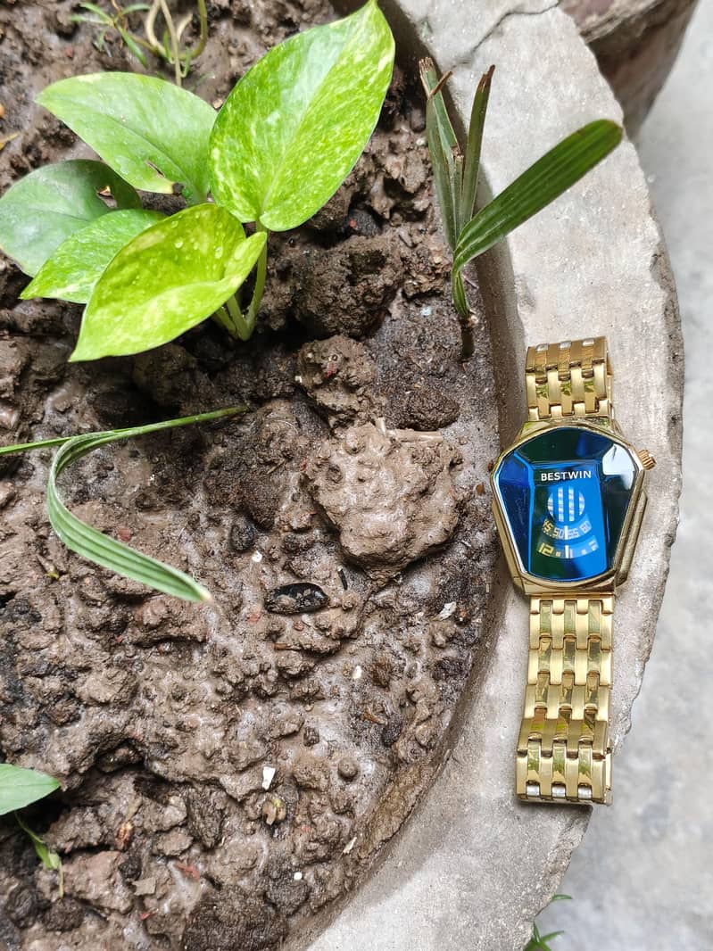 Original Bestwin Blue Dial Golden Color Watch

                                                            alt=