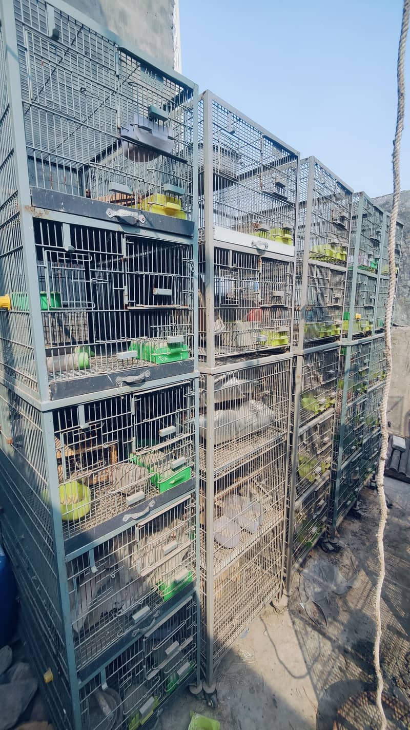 Cages | Pinjra | Iron Cage | Steel Cage | wooden Cage | Birds Cage

                                                            alt=