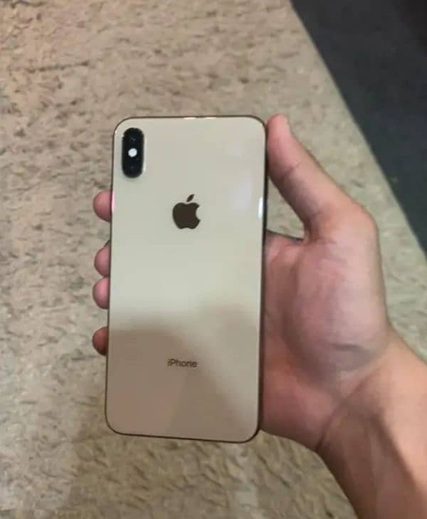 iPhone X 256 GB