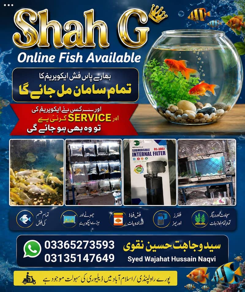 Aquarium fish bowl Available

                                                            alt=