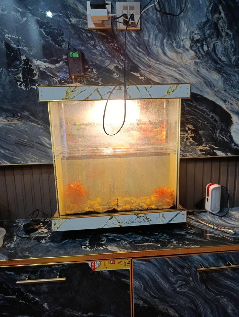 Aquarium and Fish Food

                                                            alt=