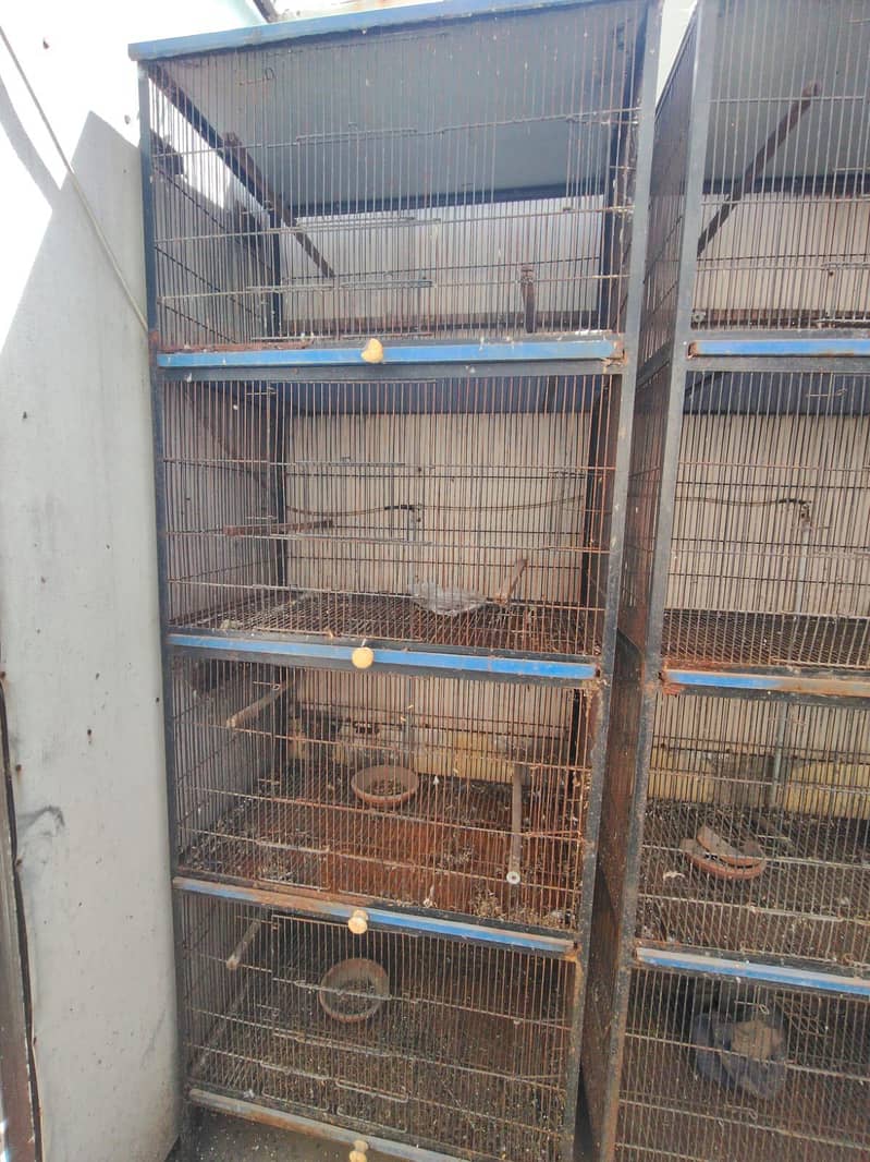 cages

                                                            alt=